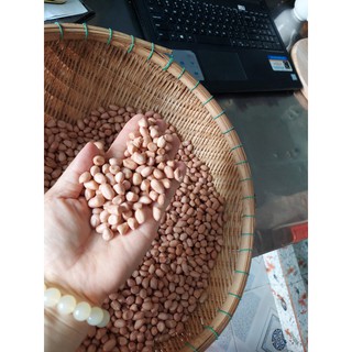 Đậu phộng /lạc tươi