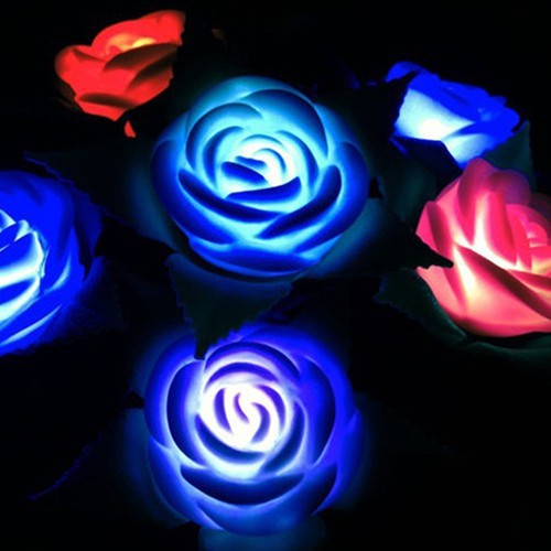 Đèn hoa trang trí sân vườn