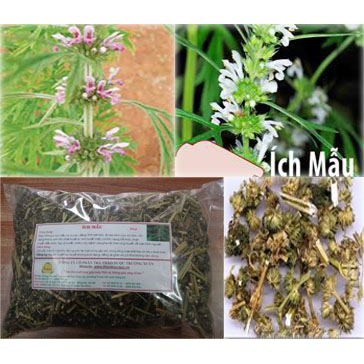 1kg Cây Ích Mẫu khô loại 1