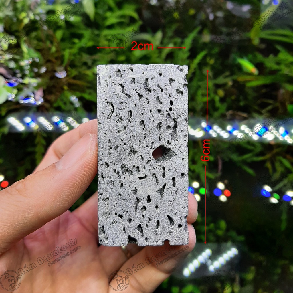 Nham Thạch Lát - namoPAD ☘ Giá Thể Ươm Ráy, Bucep Cực Tốt