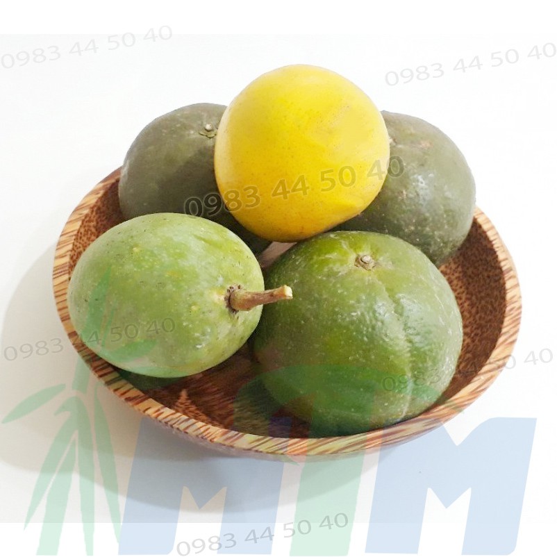 Đĩa gỗ dừa tròn