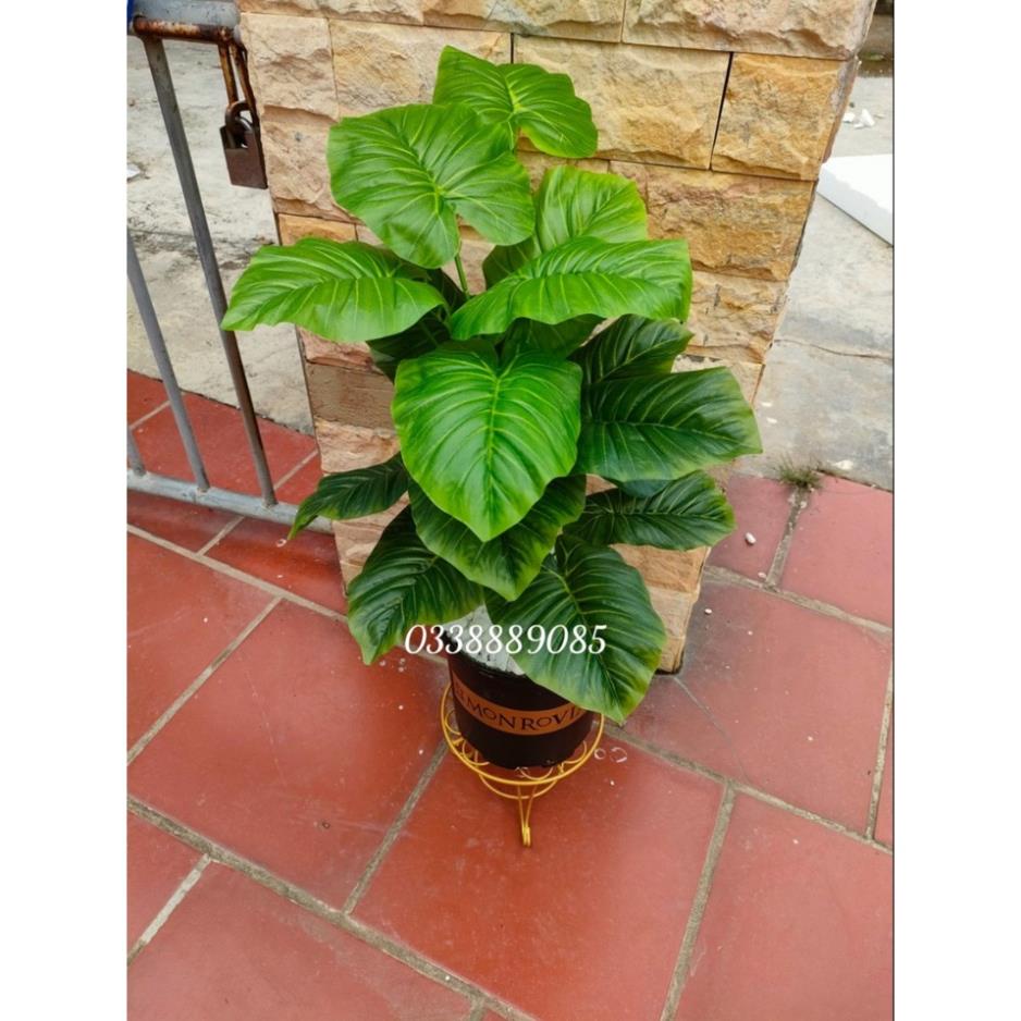 Cây Giả - Cây trầu bà, vạn niên thanh 18 Lá Cỡ To 90cm