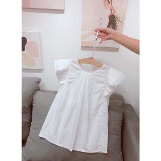 Combo 3 áo sơ mi cánh tiên