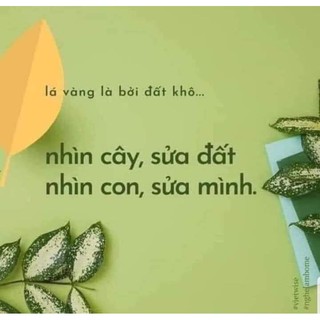 combo nuôi dạy con đúng cách