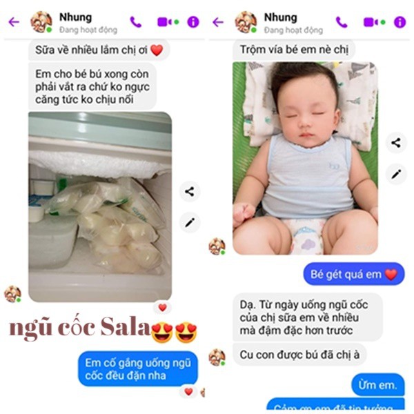 Bột Ngũ Cốc Lợi Sữa Giảm Cân Cho Mẹ Sau Sinh, Ngũ Cốc Dinh Dưỡng Dành Cho Bà Bầu, Mẹ Bầu Sala 500gr