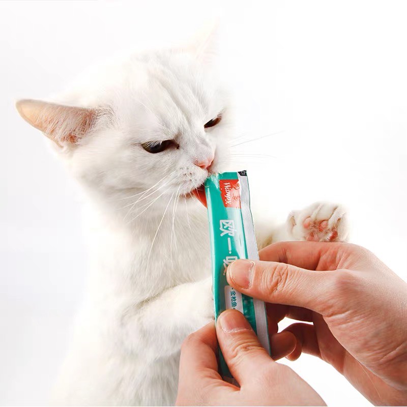 [HÀ NỘI] Súp Thưởng Wanpy Cao Cấp Gói 5 thanh 14gr