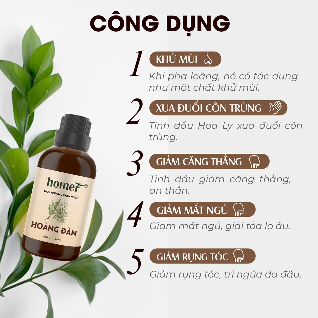 Tinh dầu Hoàng Đàn Ấn Homer 20ml/100ml - Cedarwood Essential Oil - đạt chuẩn chất lượng kiểm định