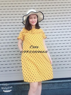 Bầu chấm bi khoét vai