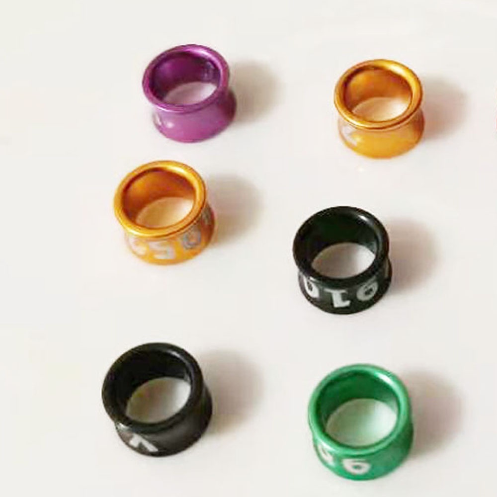 Set 20 Vòng Đeo Chân Luyện Tập Nhận Dạng Chim Kích Thước 3.3mm Đến 8mm