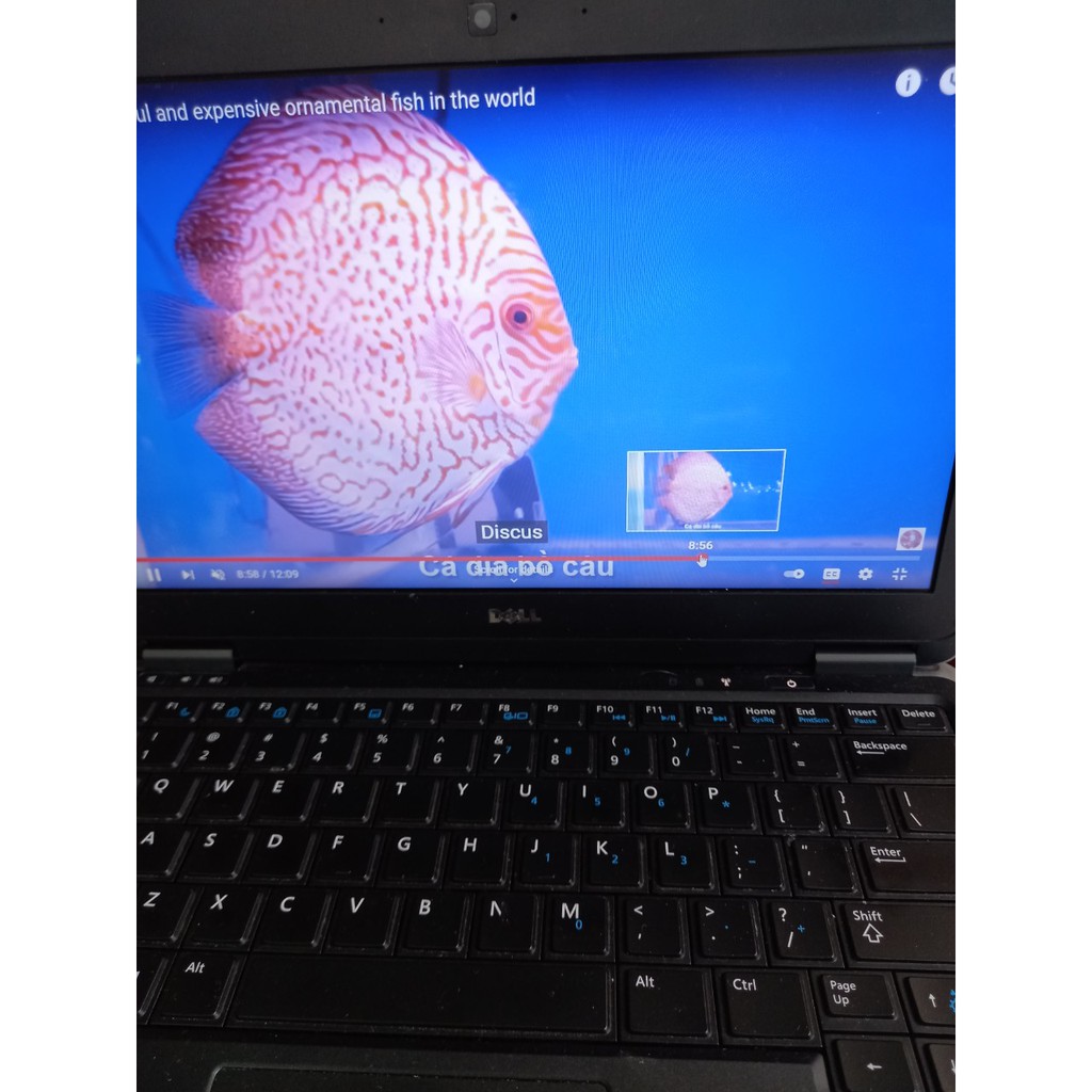 Dell Latitude 7240 Ultrabook vỏ nhôm cao cấp, hình thật | BigBuy360 - bigbuy360.vn