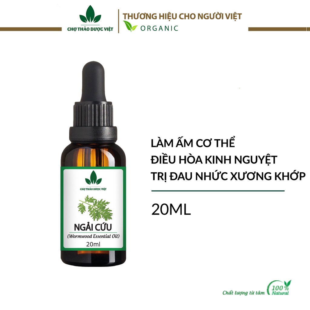 Tinh dầu Ngải Cứu nguyên chất 20ml - Chợ Thảo Dược Việt