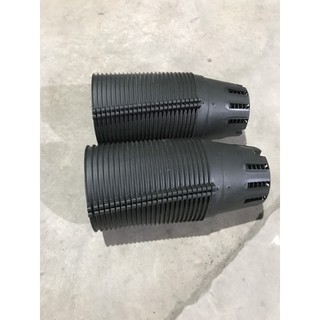 Combo 50 chậu nhựa đen phi 16-bh