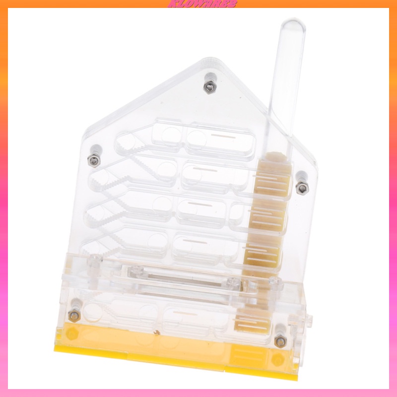 Hộp Nuôi Kiến Bằng Acrylic Trong Suốt Cho Nông Trại