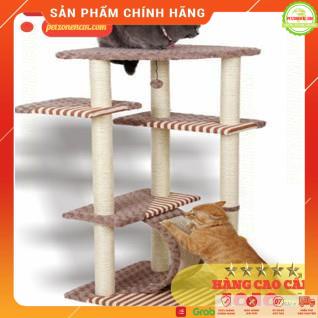 Nhà cây cho mèo Catree  FREESHIP 70K  nhà cây có thang leo | trụ cào móng LWS160024