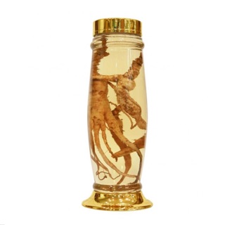 Bình thuỷ tinh ngâm rượu Hàn Quốc 3,5lit (hình sâm)