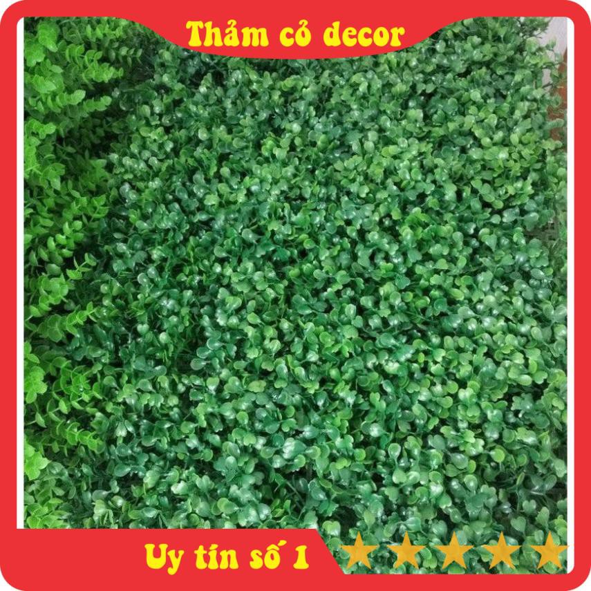 Cỏ Cải Xoong, Thảm cỏ nhân tạo, nhựa giả size 60*40cm, trang trí trường nhà, văn phòng, nhà hàng, decor sự kiện