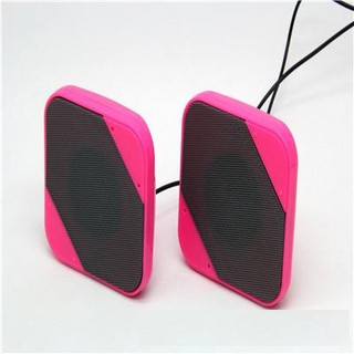 Loa Ruizu G01