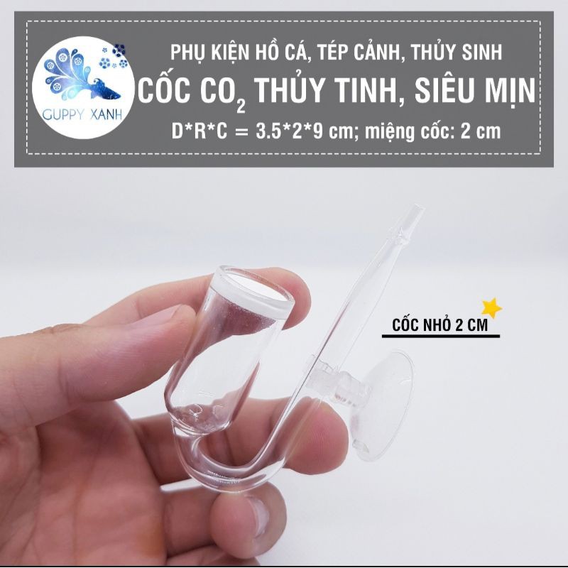 Cốc Sủi CO2 Thuỷ Tinh Siêu Mịn - Cốc Sủi Nano