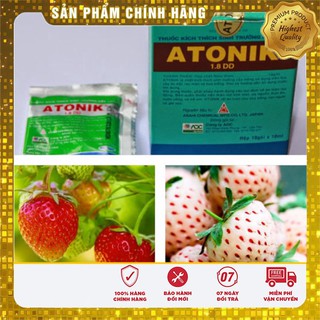-15% Combo bộ 3 sản phẩm dâu tây thơn ngon