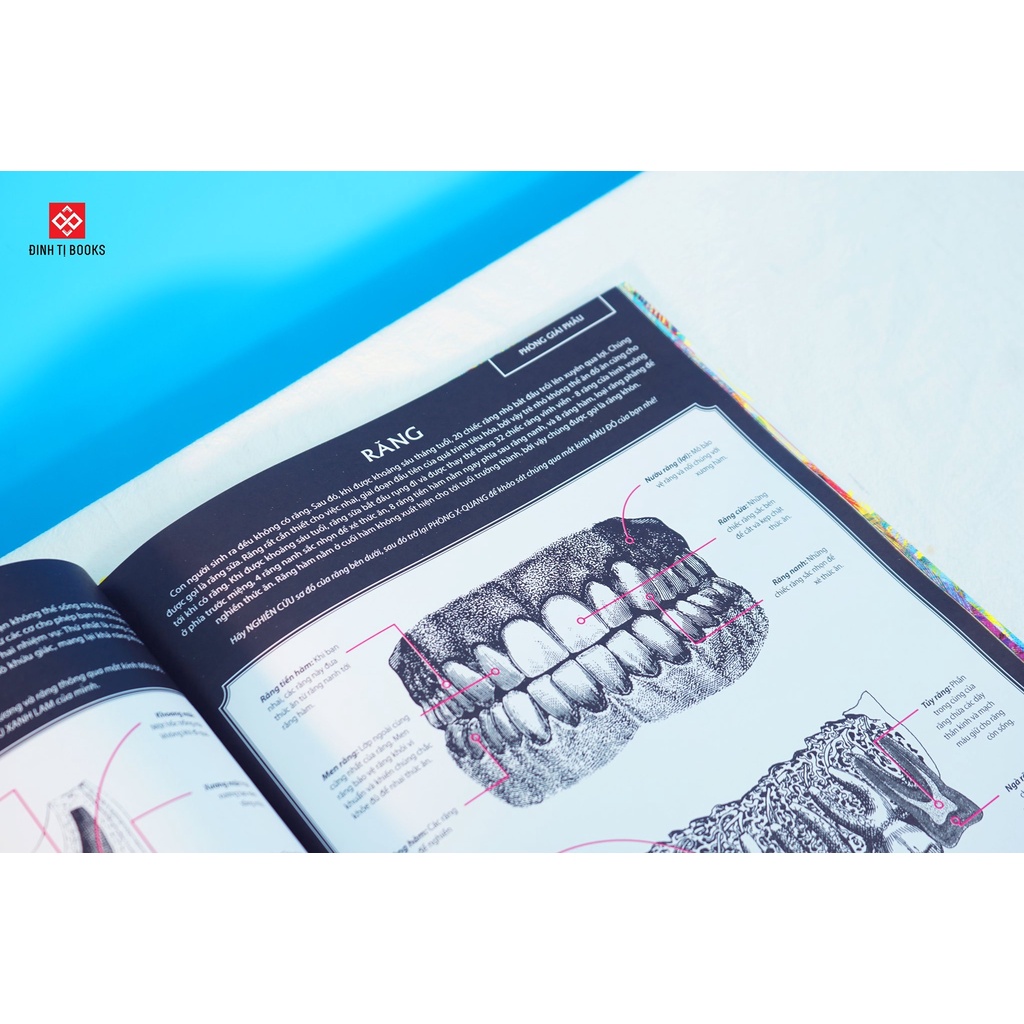 Sách - Illumanatomy Soi Sáng Cơ Thể Người - Có Thể Soi Rọi Xem Cấu Tạo Cơ Thể Bằng Lăng Kính Và Điện Thoại