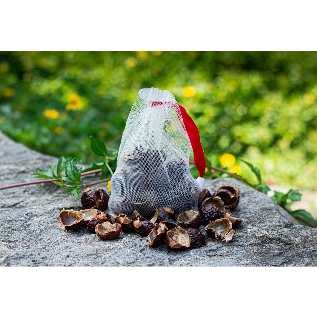 Quả bồ hòn khô Trường Sơn Xanh kèm túi lưới tiện dụng