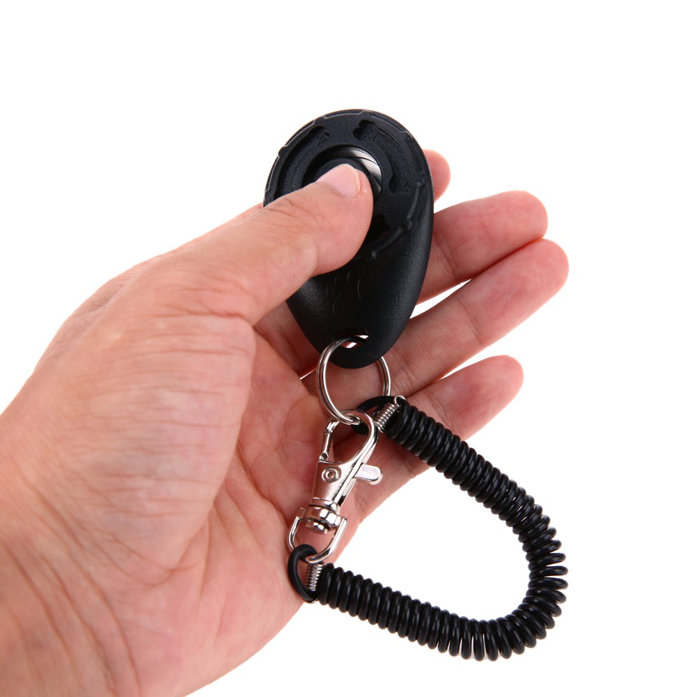 1 Cái Móc Khóa Huấn Luyện Chó Có Âm Thanh Điều Chỉnh