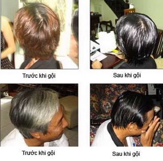 Combo dầu gội đen tóc shitinsof Hán Phương Linh Chi đen tóc