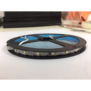 Led dây dán zic zac cuộn 10m