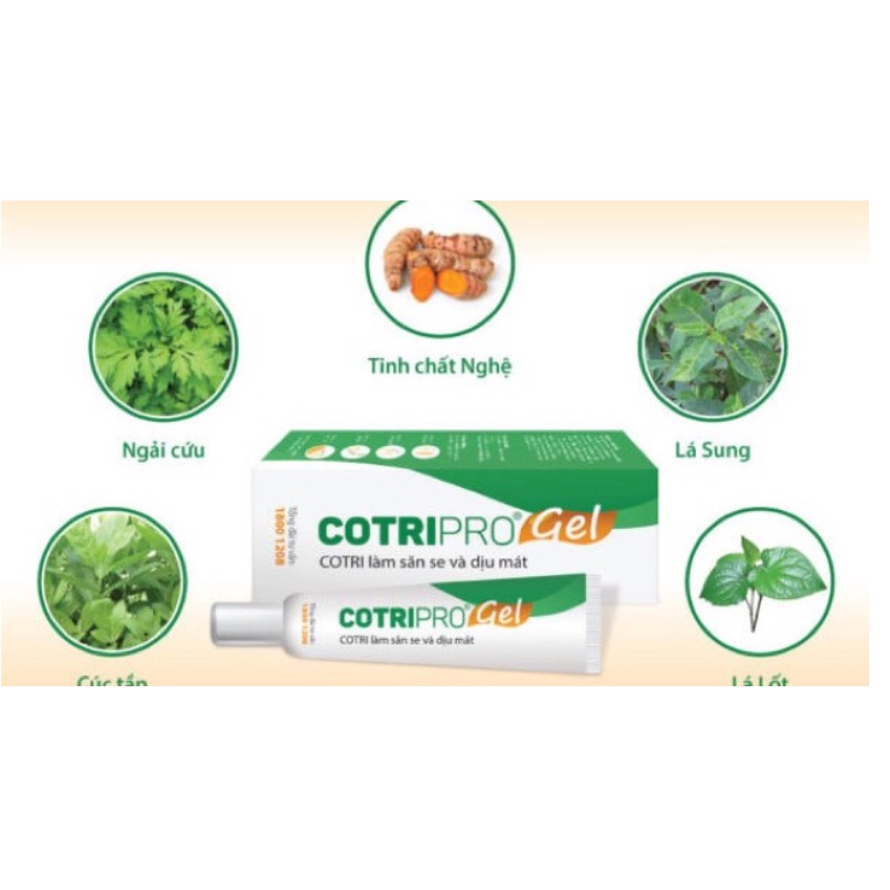 COTRIPRO gel 10g kem bôi trĩ | BigBuy360 - bigbuy360.vn