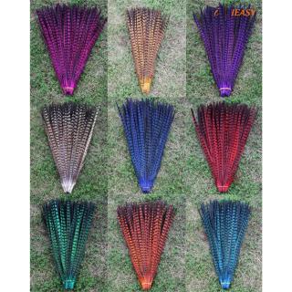 10 lông vũ nhiều màu 30-35cm