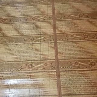 chiếu trúc tăm