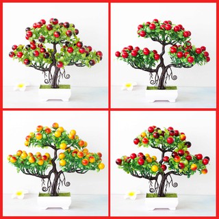 Cây Bosai Mini Để Bàn, Cây Giả Để Bàn