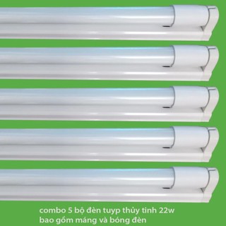 COMBO 5 Bóng đèn led Tuýp thủy tinh 22W 1,2m + 5 Máng đèn