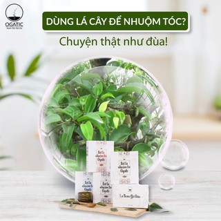 Bột Lá Nhuộm Tóc Ogatic Màu Đen
