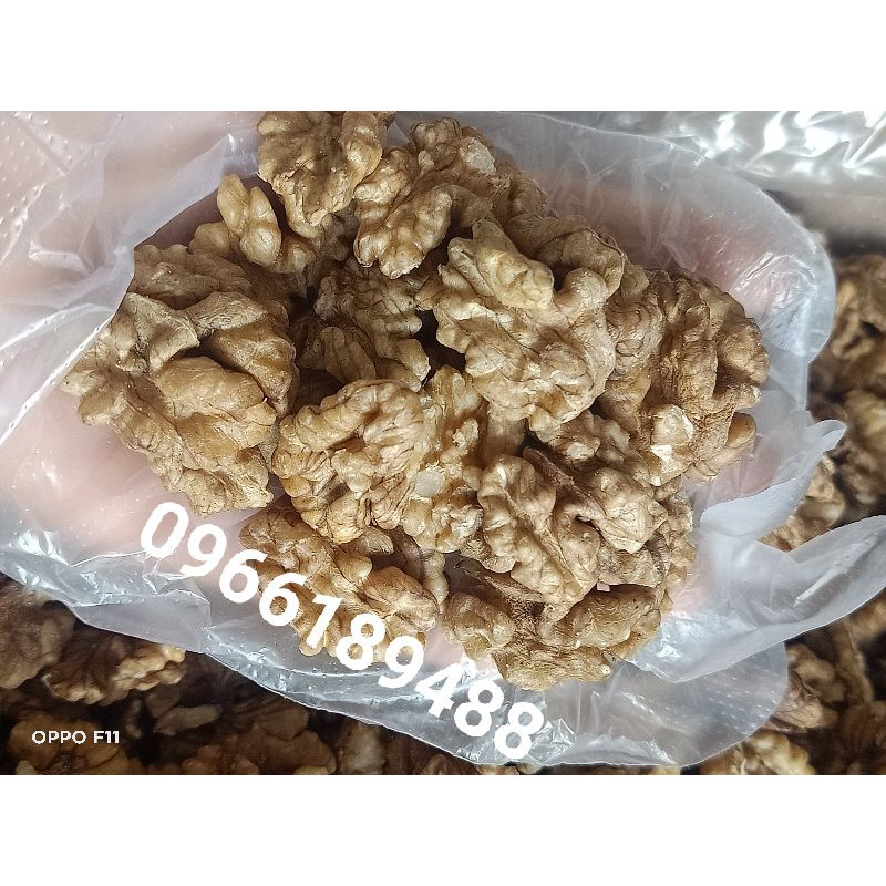 NHÂN QUẢ ÓC CHÓ_500G