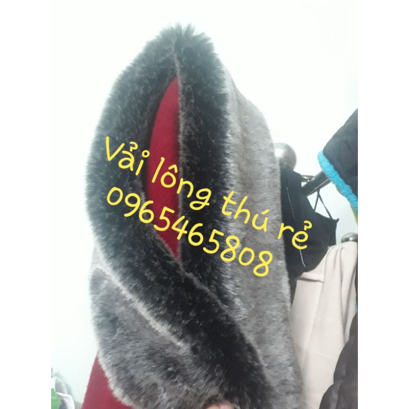Lông Cổ áo thời trang