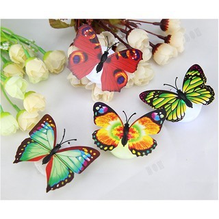 2 Đèn Led Trang Trí Hình Bướm Đổi Màu Đáo Trang Trí Phòng
