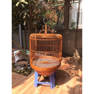 Lồng Đục Choè Than from cao (sz 42)