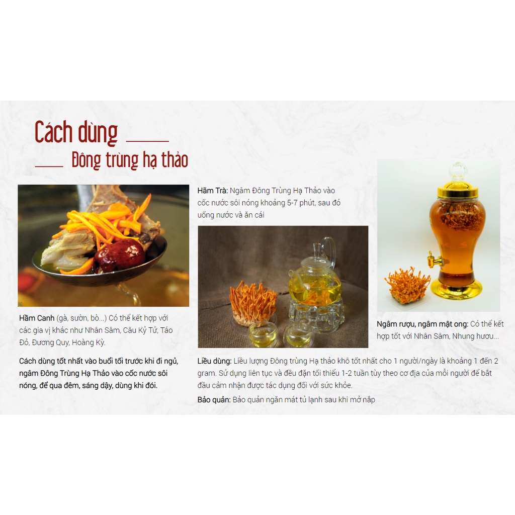 Đông Trùng Hạ Thảo bán tự nhiên Dược Quý Đường- Combo 4 hộp đông trùng sấy khô  20g- Hỗ trợ bồi bổ cơ thể