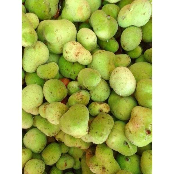 Quả chay tươi 1kg/nấu canh chua/kho cá/quả chay tươi