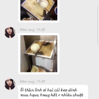 Bẫy keo dính chuột Quang Thiều