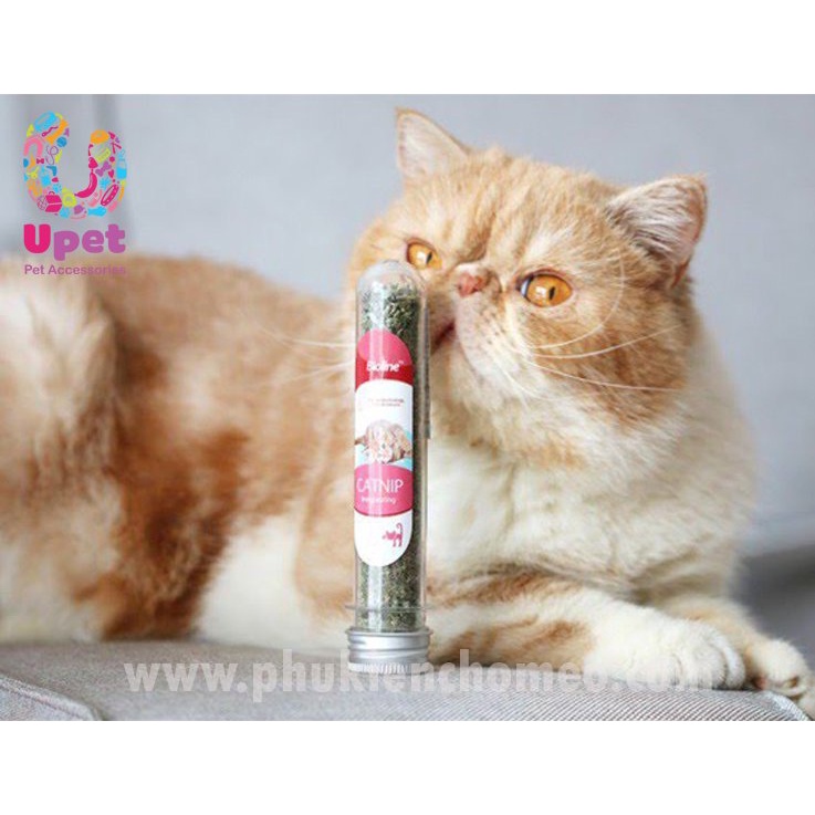 Bioline - Cỏ bạc hà khô Catnip  5g giúp giải trí, giảm stress, tiêu búi lông dành cho mèo