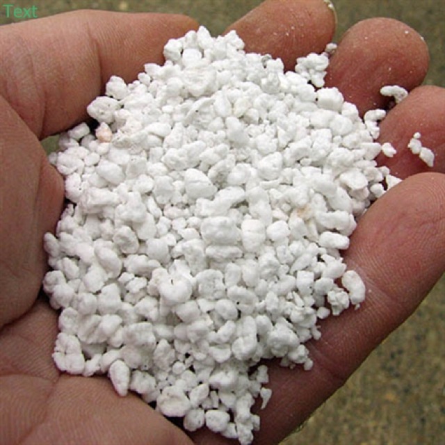 Đá Perlite/Sỏi Nhẹ/Đá Trân Châu - Giá Thể Trồng Sen Đá, Xương Rồng, Kiểng Lá