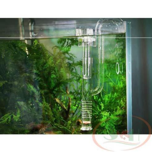 In out thủy tinh có lọc váng p12 và p16 - In out thủy tinh siêu đẹp siêu trong