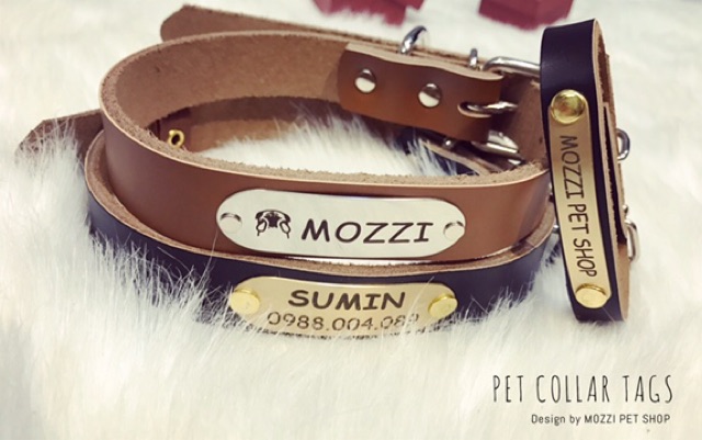 Pettag Mozzi - Dây da gắn tag dành cho thú cưng