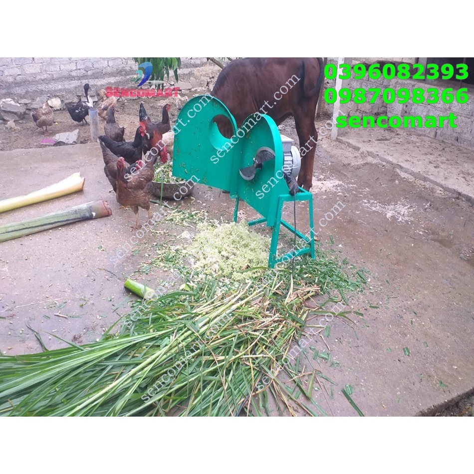 Máy xay cây chuối xay cỏ voi cho trâu,bò,dê,gà