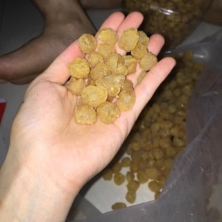Long nhãn Hương Chi- Đặc sản Hưng Yên