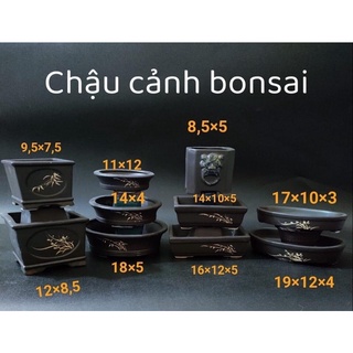 Combo 10 chậu bonsai mini - chậu trồng cây mini /chậu trồng cây bonsai/chậu trồng cây cảnh /chậu trồng cây kiểng