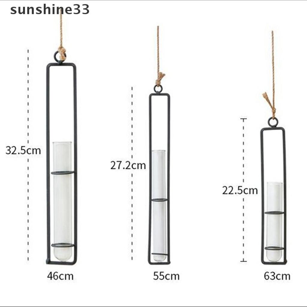 Bình Hoa Thủy Tinh Trong Suốt Treo Tường Bằng Sắt