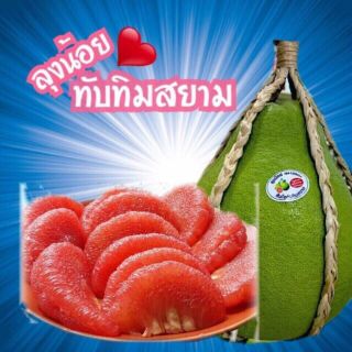 Cây bưởi rubi giống